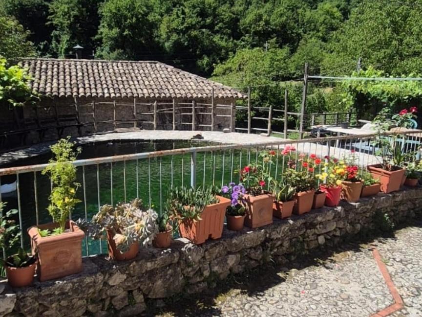 Umbria Valnerina , Il Tartuffo, Near Spoleto Apartment Scheggino Exterior foto